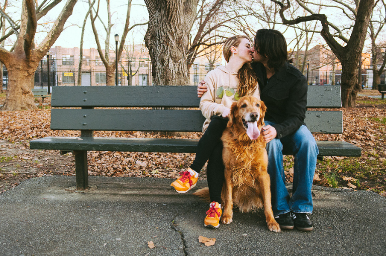 nyc pet photographer