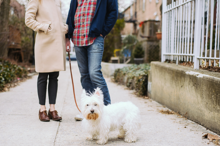 nyc pet photographer