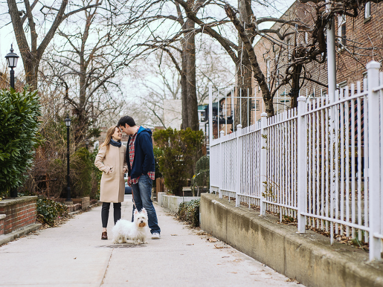 nyc pet photographer